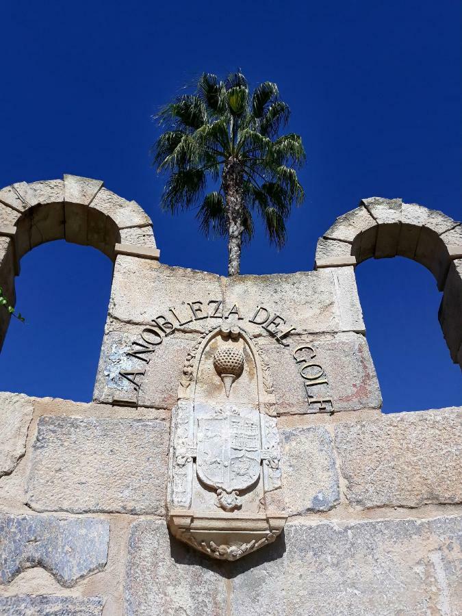 Fabulous Detached Large Villa 5 Bedrooms 3 Bathrooms Backing Onto Villamartin Golf Course Exterior foto